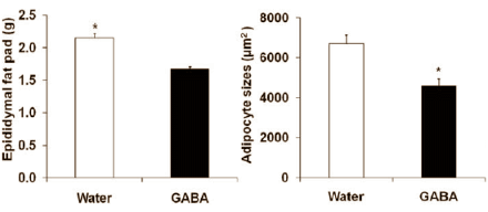 GABA: body fat inhibitor and insulin booster