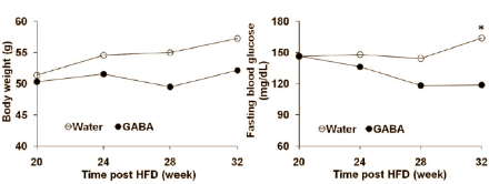 GABA: body fat inhibitor and insulin booster