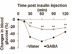 GABA: body fat inhibitor and insulin booster