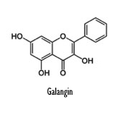 Alpinia officinarum, a fat loss supplement?