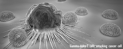 The keto diet focuses the immune system on the flu virus