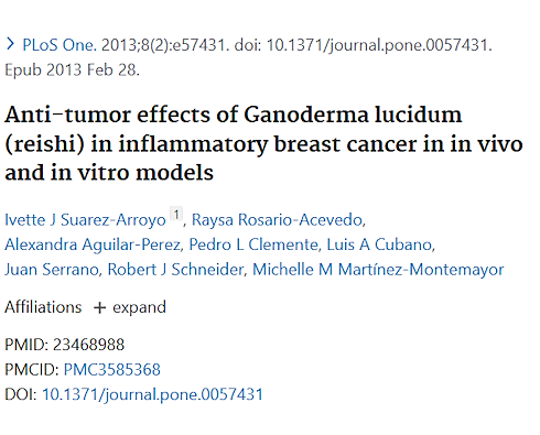 Reishi | A spoke in the wheel of aggressive breast cancer