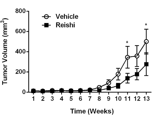 Reishi | A spoke in the wheel of aggressive breast cancer