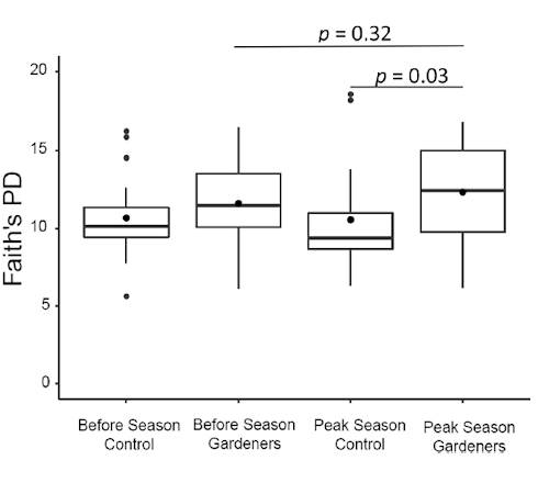 Vegetable garden diversifies microbiome