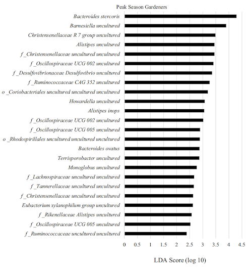 Vegetable garden diversifies microbiome