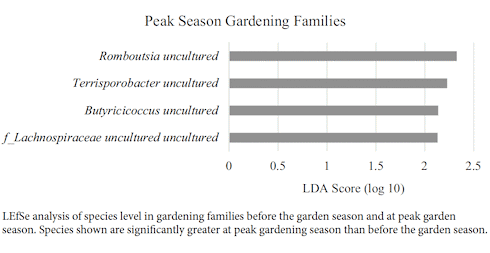 Vegetable garden diversifies microbiome