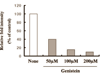 Genistein, capsaicin and EGCG inhibit fat cells via AMPK