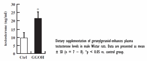 Why testosterone boosters with geranylgeraniol might work