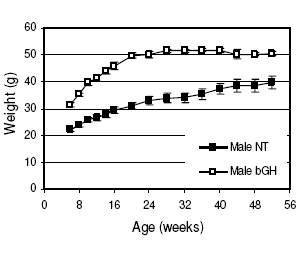 Growth hormone won't give you definition when you're young