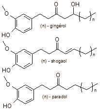 We've already written a few times about the fact that ginger boosts the concentration of testosterone in the blood. We still find it strange that a basic cooking ingredient has this effect. That's why a Tunisian animal study piqued our interest: researchers managed to normalise the testosterone level of diabetic rats using powdered ginger.