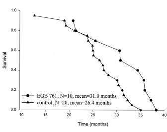 Gingko lengthens rats' lifespan
