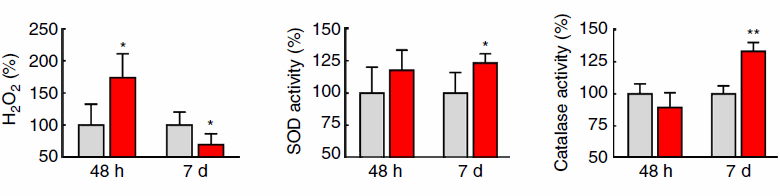 It's been on the market for about twenty years: glucosamine � an amino acid with sugar attached that, according to small studies, protects joints (and according to larger studies, mainly sponsored by the pharmaceutical sector, has no effect at all). This same glucosamine extends lives according to Swiss and German molecular biologists by imitating the effect of a low-carbohydrate diet.