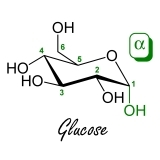 Carb binge after competition paralyzes bodybuilder