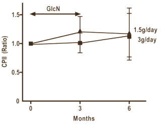 Glucosamine for soccer players