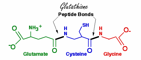 Sulforaphane, an antipsychotic from broccoli