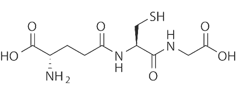 Exercise burns up more fat after supplementing with cystine and glutamine