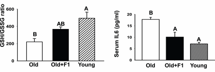 Three amino acids and selenium supplementation prevents age-related muscle breakdown