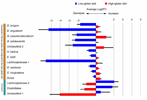 A gluten-free diet makes you slimmer - but in a different way than you think