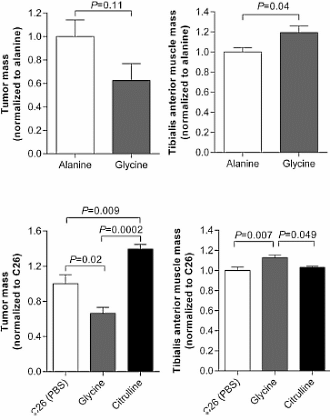 The anticatabolic effect of glycine