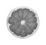 A glass of grapefruit juice makes methandienone more effective
