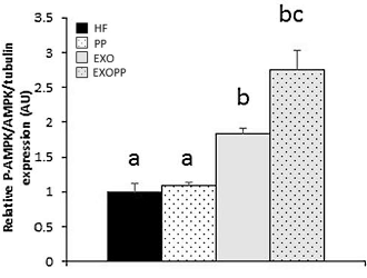 Eating too much? The combination of grape extract and physical activity offers more protection than physical activity alone