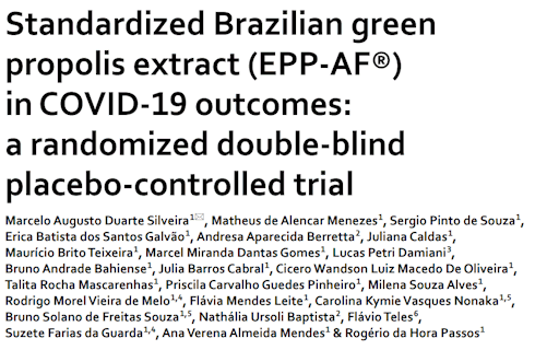 Brazilian propolis improves immune system of Covid-19 patients