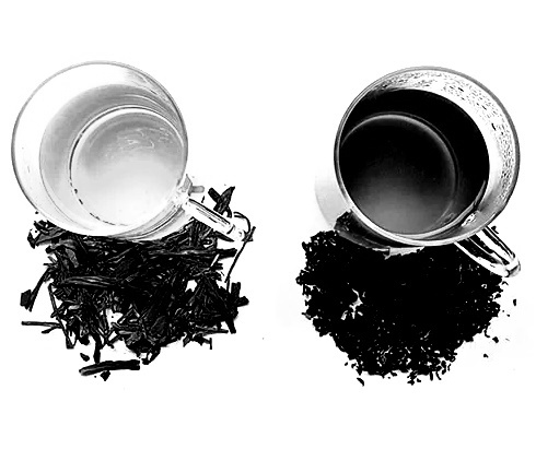 Aging tea drinkers retain their teeth and molars