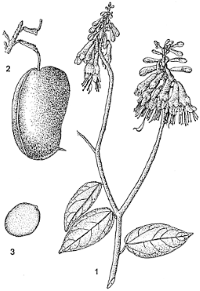 A supplement that mends a broken heart