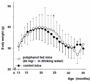 Drink green tea instead of water � and live longer