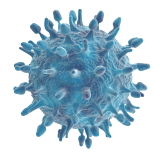 Quercetin sabotages influenza virus