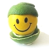 Contented people live longer