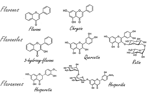 Hesperetin, the cellular rejuvenator from citrus fruits
