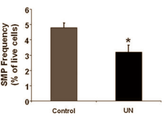 Animal study: Fat in childhood? Weak muscles for life, says animal study