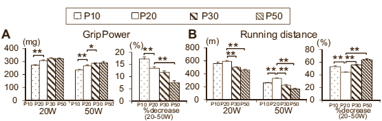 Animal study: endurance athletes perform best on diet where 20 percent energy comes from protein