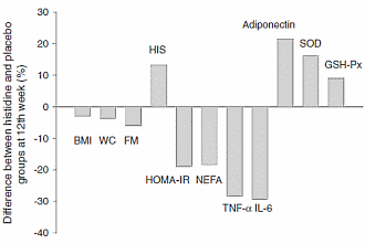 L-Histidine supplementation breaks down fat