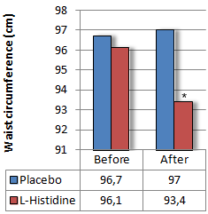 L-Histidine supplementation breaks down fat
