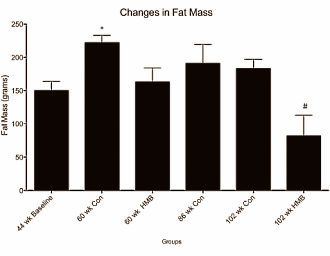 HMB keeps aging body muscular and trim