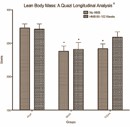 HMB keeps aging body muscular and trim