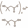 Old-fashioned calcium HMB works better than HMB Free Acid, says rival