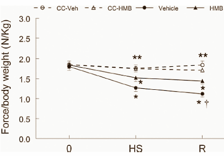 HMB slows down muscle loss if you're not training
