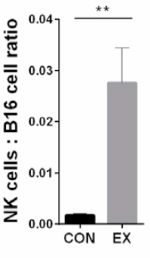 This is how physical exercise clears up tumours