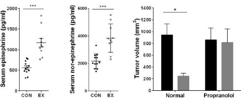 This is how physical exercise clears up tumours