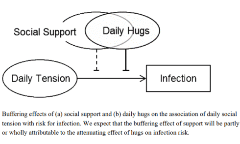 Under stress? Social support and hugs protect against viruses
