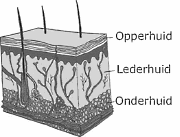 How to look younger than you really are