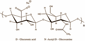 Hyaluronic Acid supplements restore moisture balance in dry skin