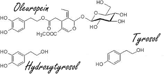 Human study: olive leaf supplement increases insulin sensitivity