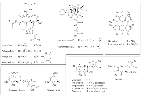 The unexpected antiviral effect of St. John's wort