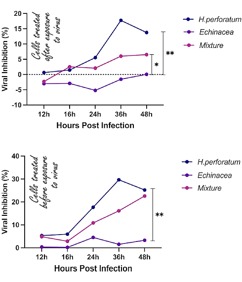 The unexpected antiviral effect of St. John's wort