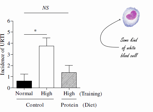 Training hard without compromising your immune system? Just double your protein intake...