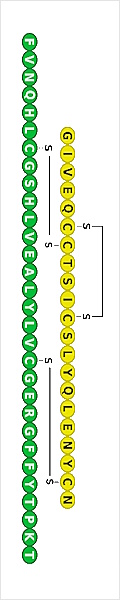 Insulin, glucose & glucose metabolism